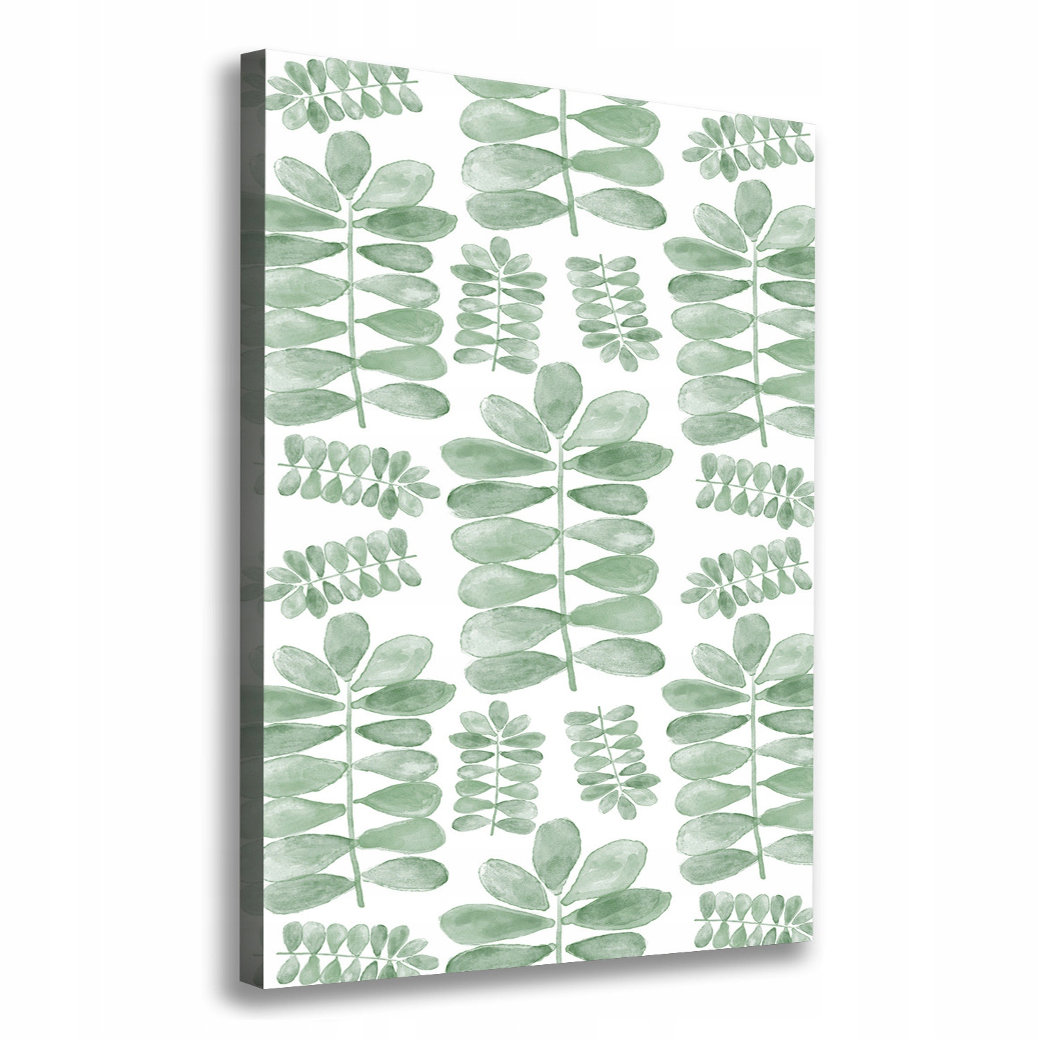 

Foto obraz na płótnie Liście eukaliptusa 70x100 cm