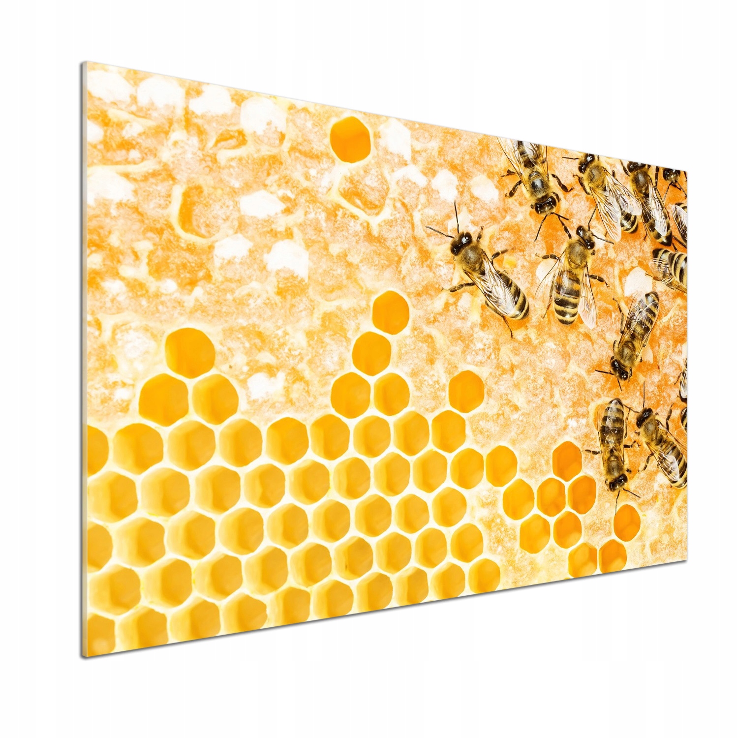 Panel do kuchyne Pracujúce včely 100x70 Lepidlo