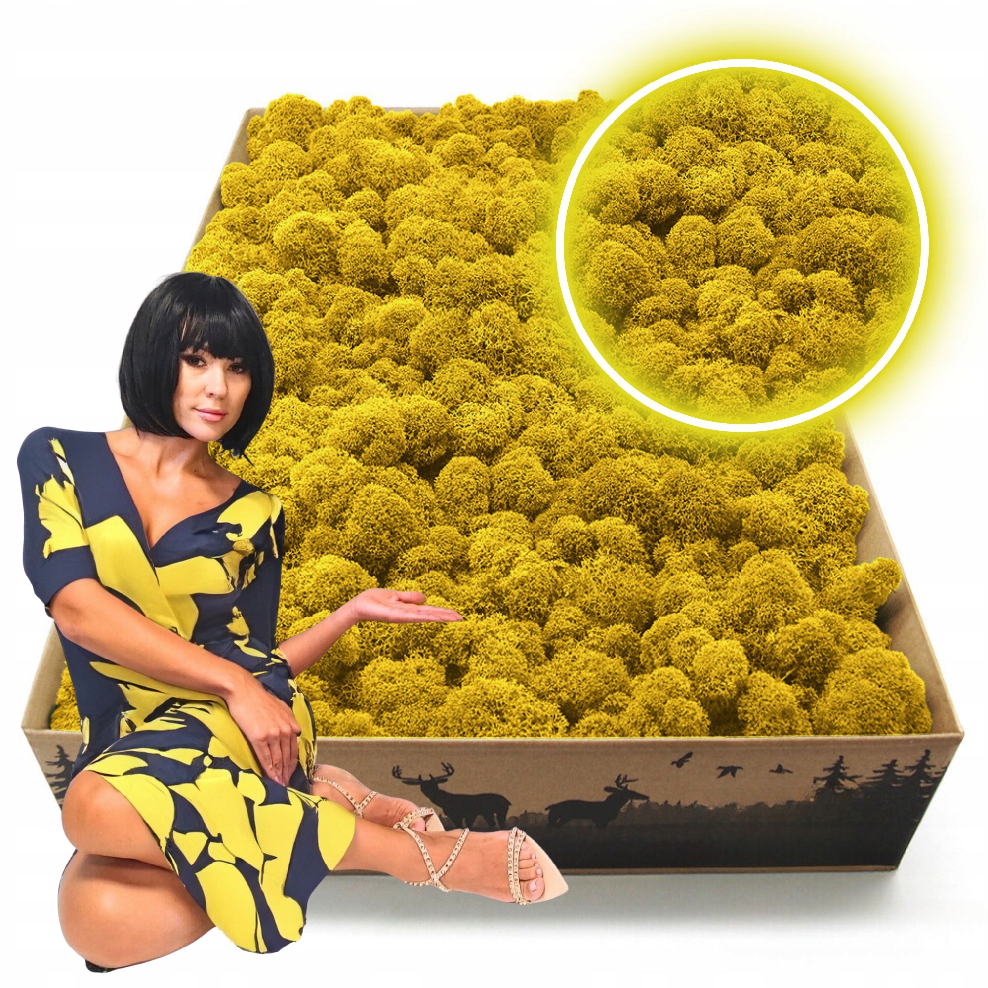 Mech Chrobotek Reniferový finský 2kg Čištěný Premium nejvyšší kvalita