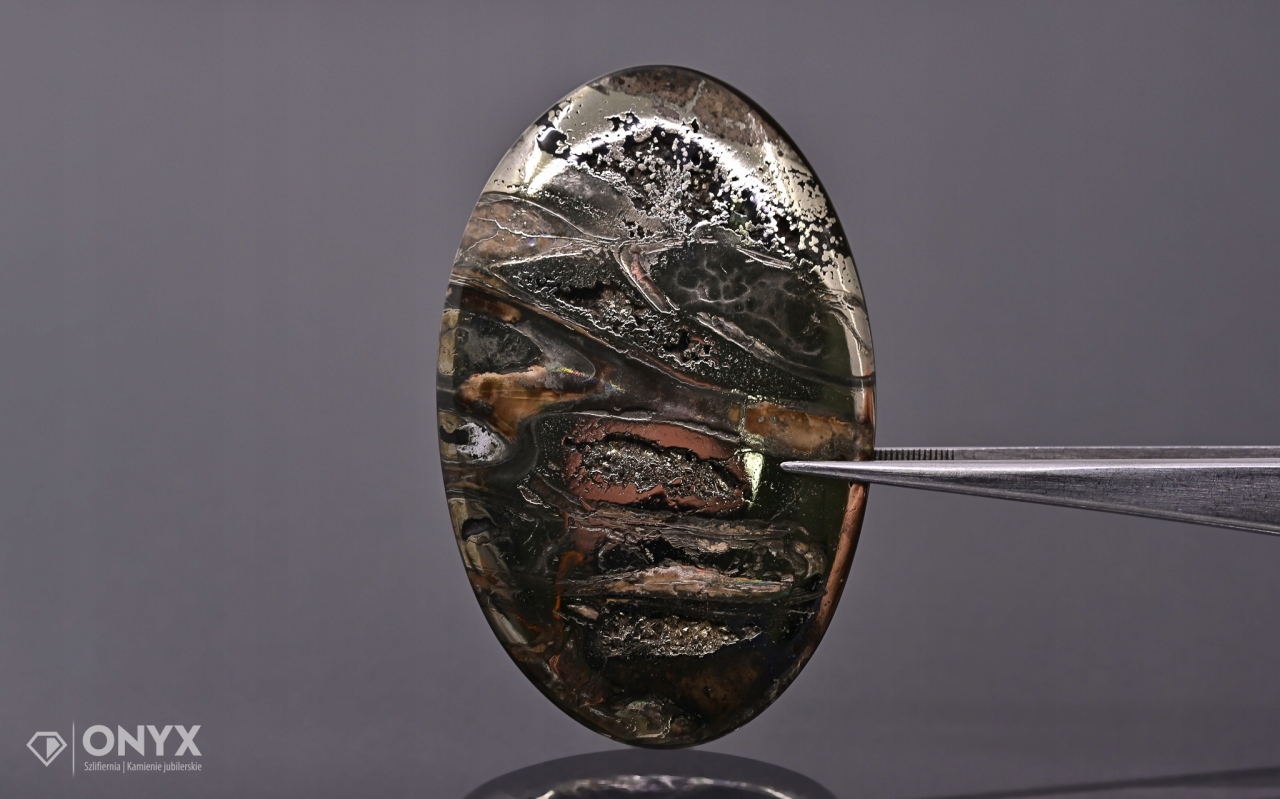 Amonit spiritizovaný ovál 61x39 mm