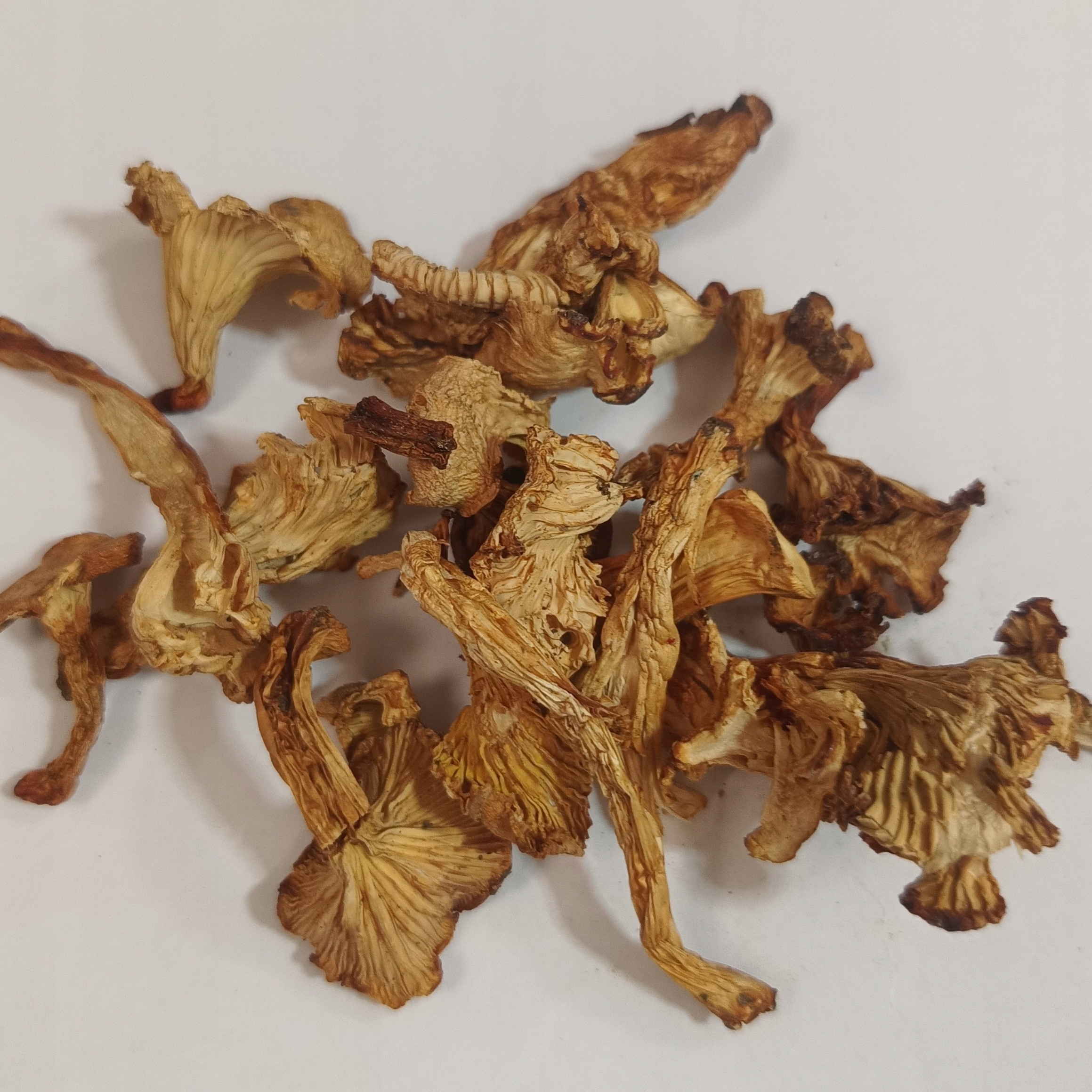 Levně Kurka Sušený pepřovník 1 kg Rafex