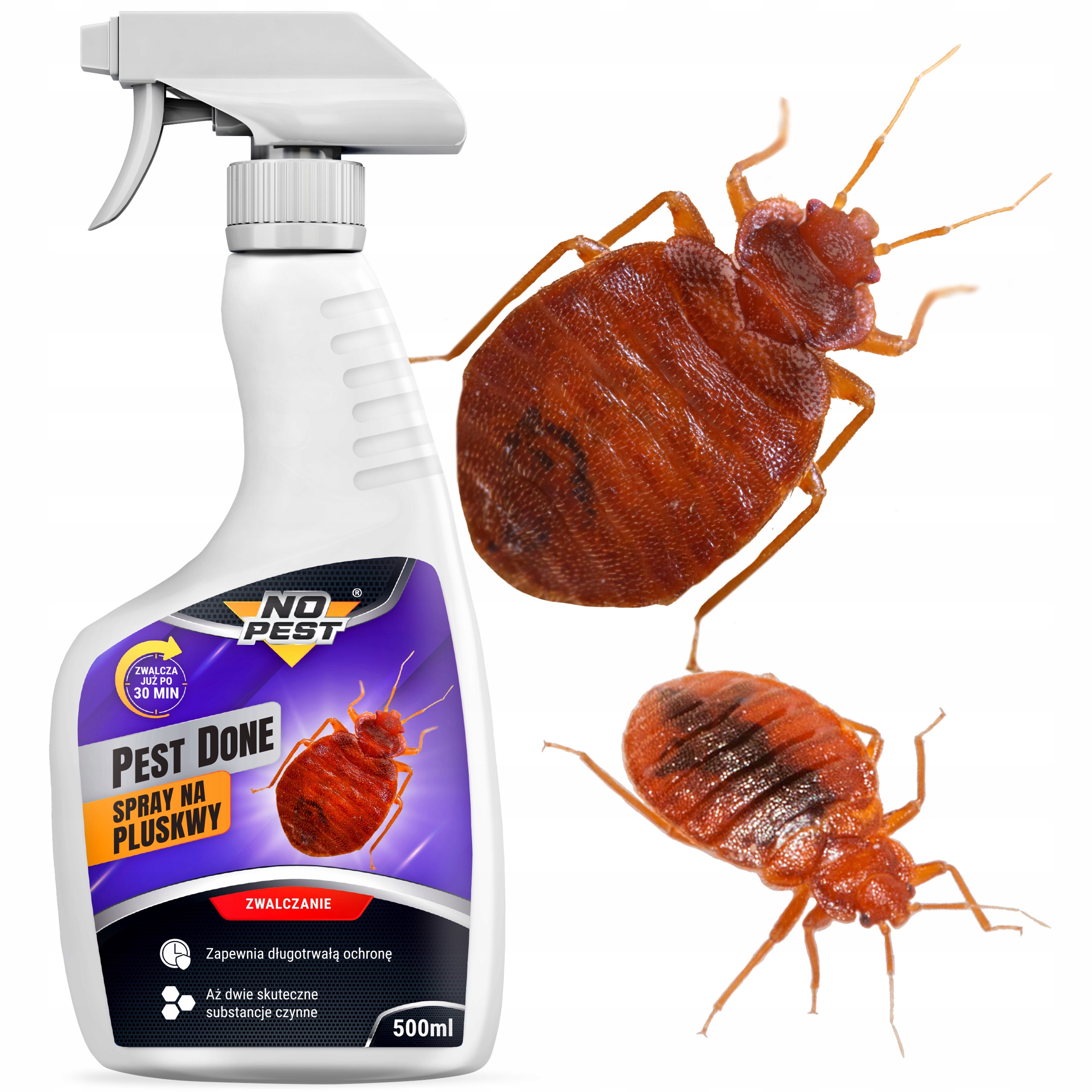 Preparat Spray Na Pluskwy I Ich Larwy No Pest Pest Done Cypermetryna 500ML