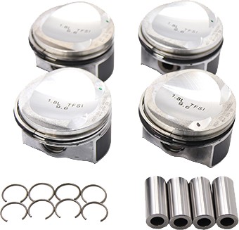 B13582 - Borsehung поршень