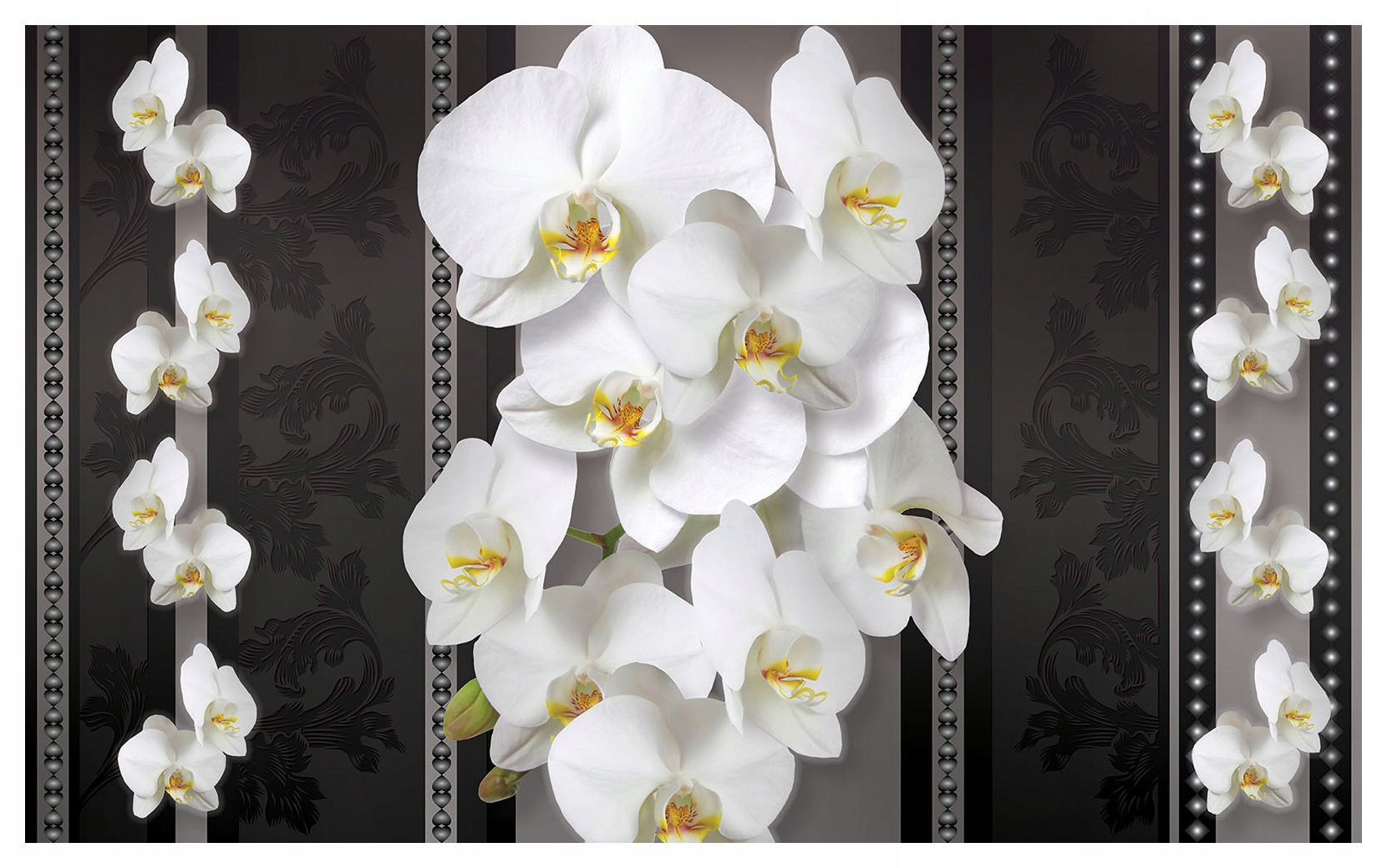 Tapeta Orchideje Damašek bílé květy vinylová na tmavém pozadí 368x254 lepidlo