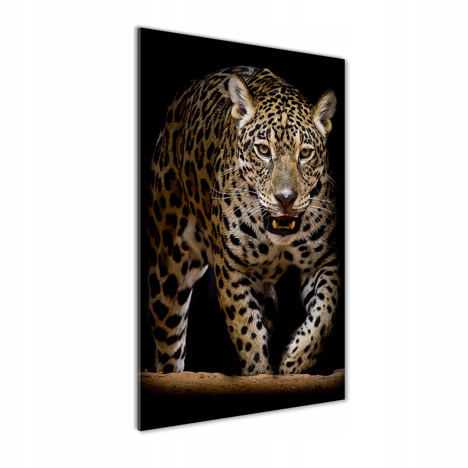 

Foto obraz szkło akrylowe na ścianę Jaguar 70x140