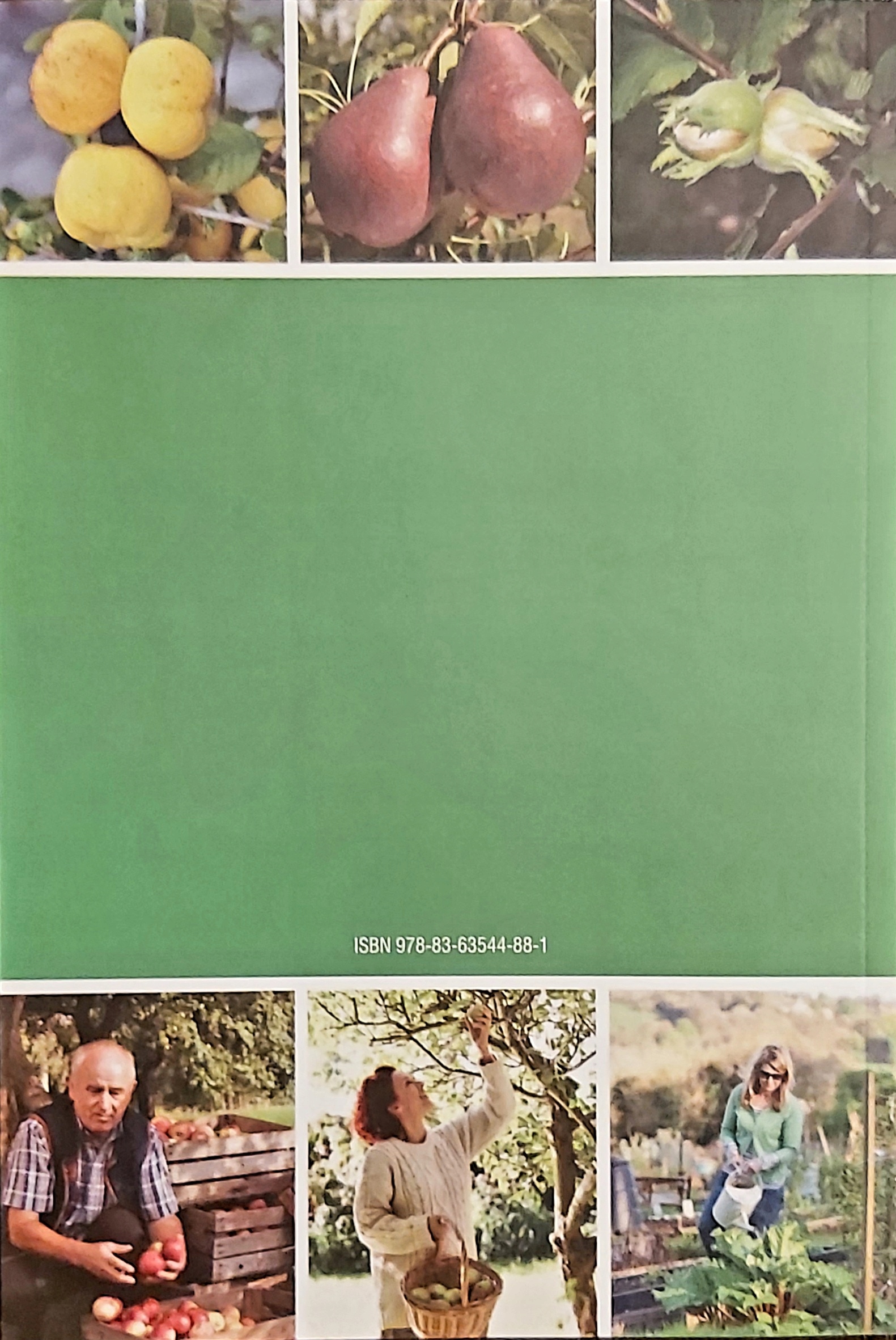 Poradnik początkującego działkowca Praca zbiorowa Gatunek Hobby, kolekcjonerstwo