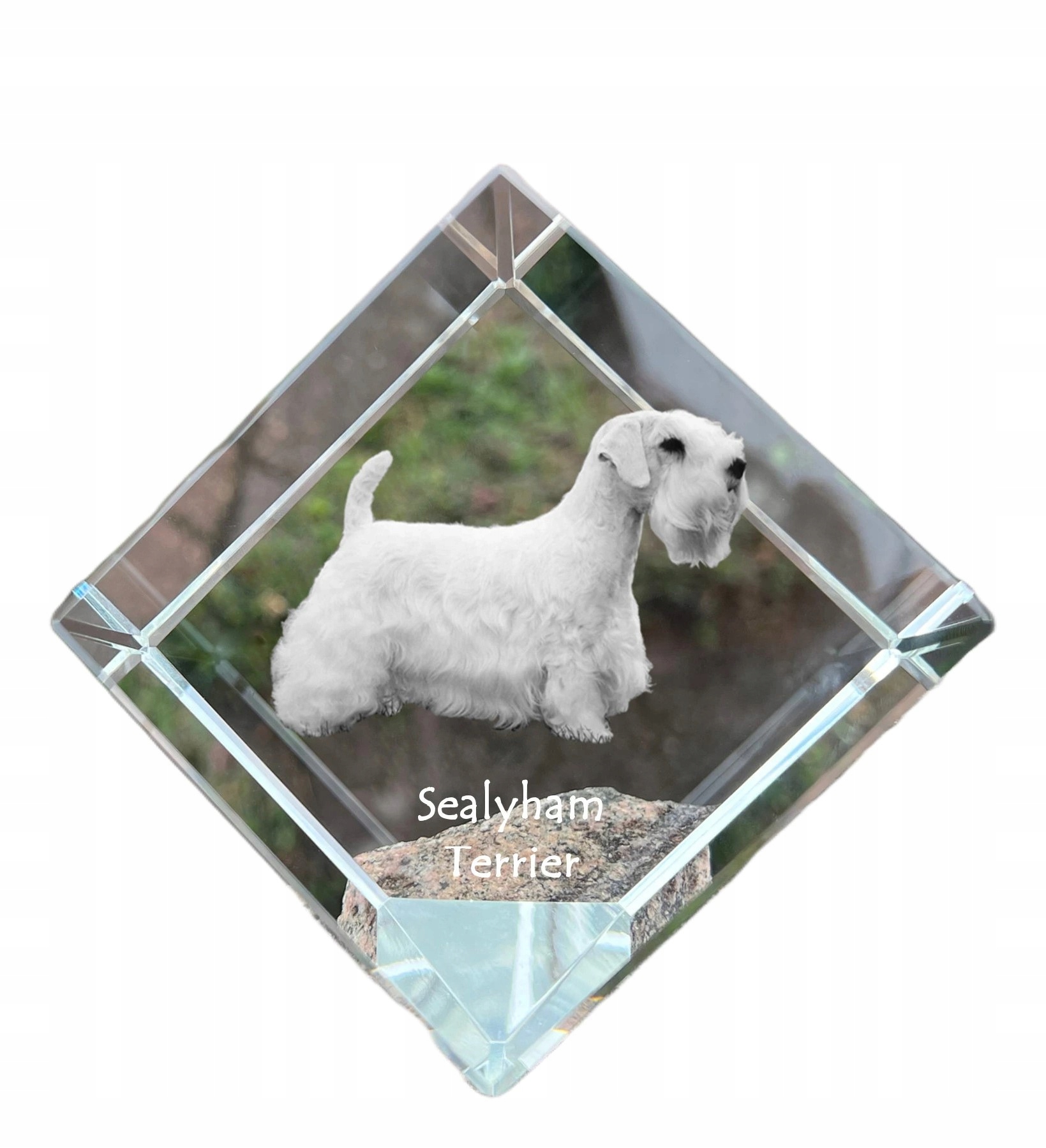 Sealyham Terrier krištáľová kocka s fotografiou psa, ozdoba na stôl