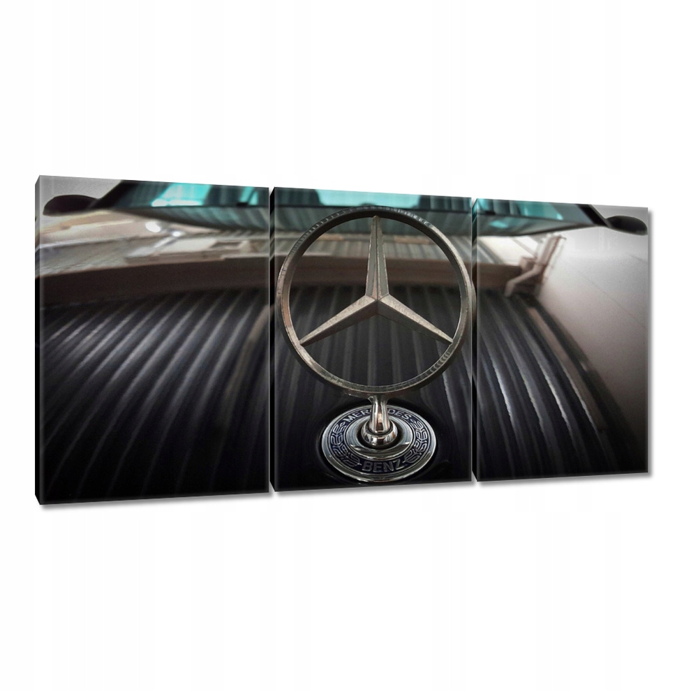 

Obrazy 120x60 Znaczek Mercedesa