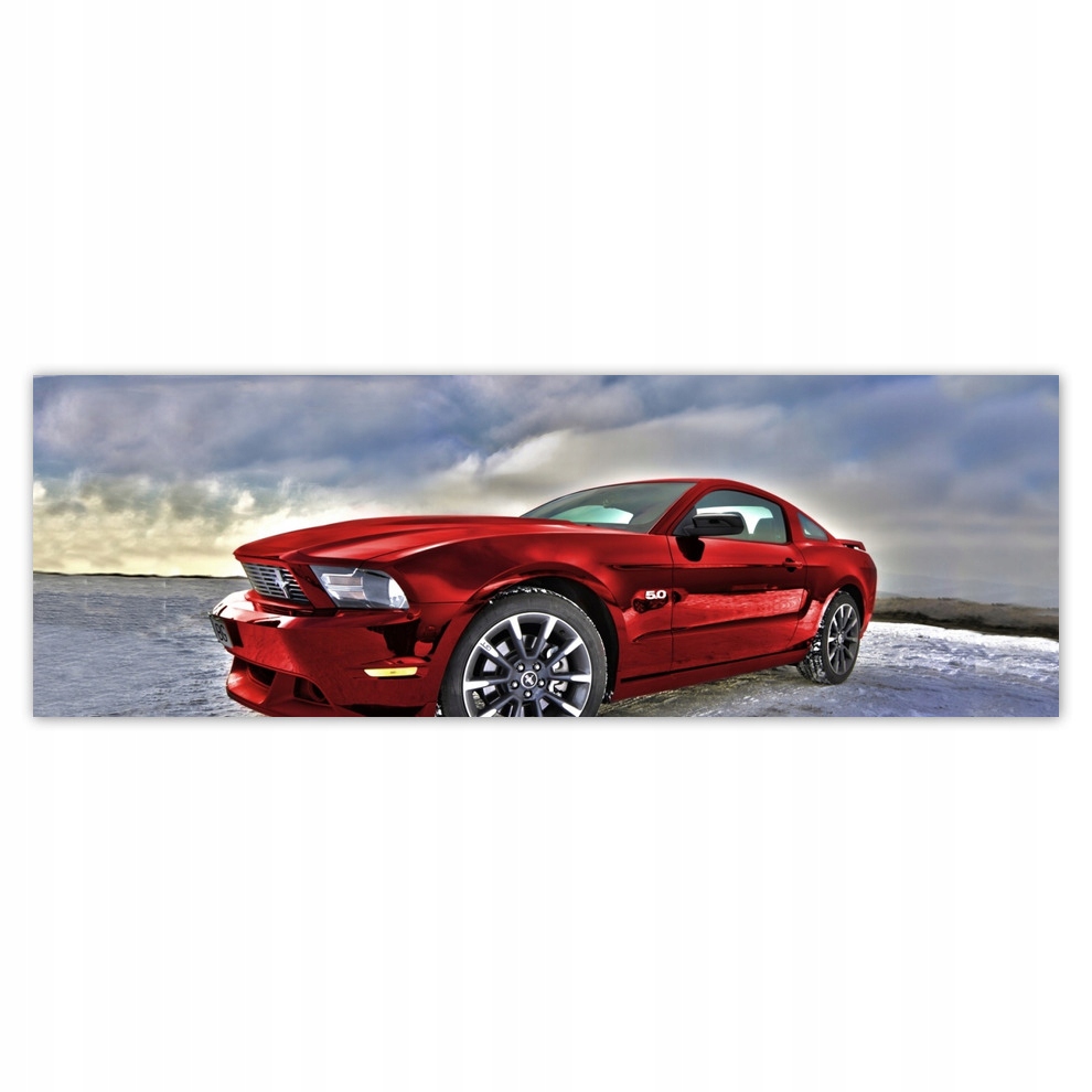 

Fototapety flizelina 312x104 Czerwony Mustang