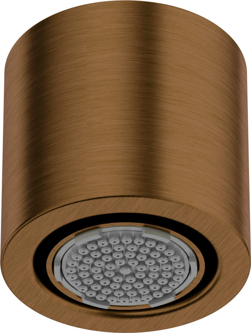 Dážďová sprcha 1-funkčná Mosadz Anti-Calc 42 mm