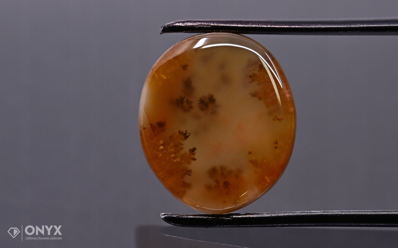 Dendritový achát z Kazachstánu nepravidelná destička