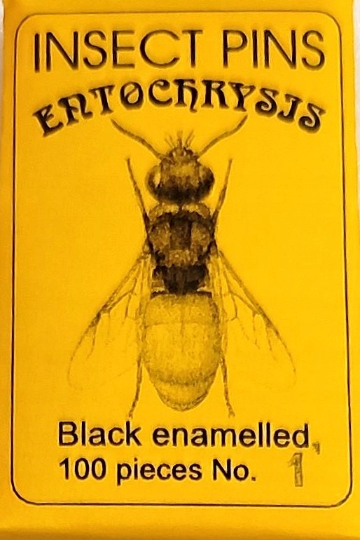 Szpilki entomologiczne czarne nr. 1 .
