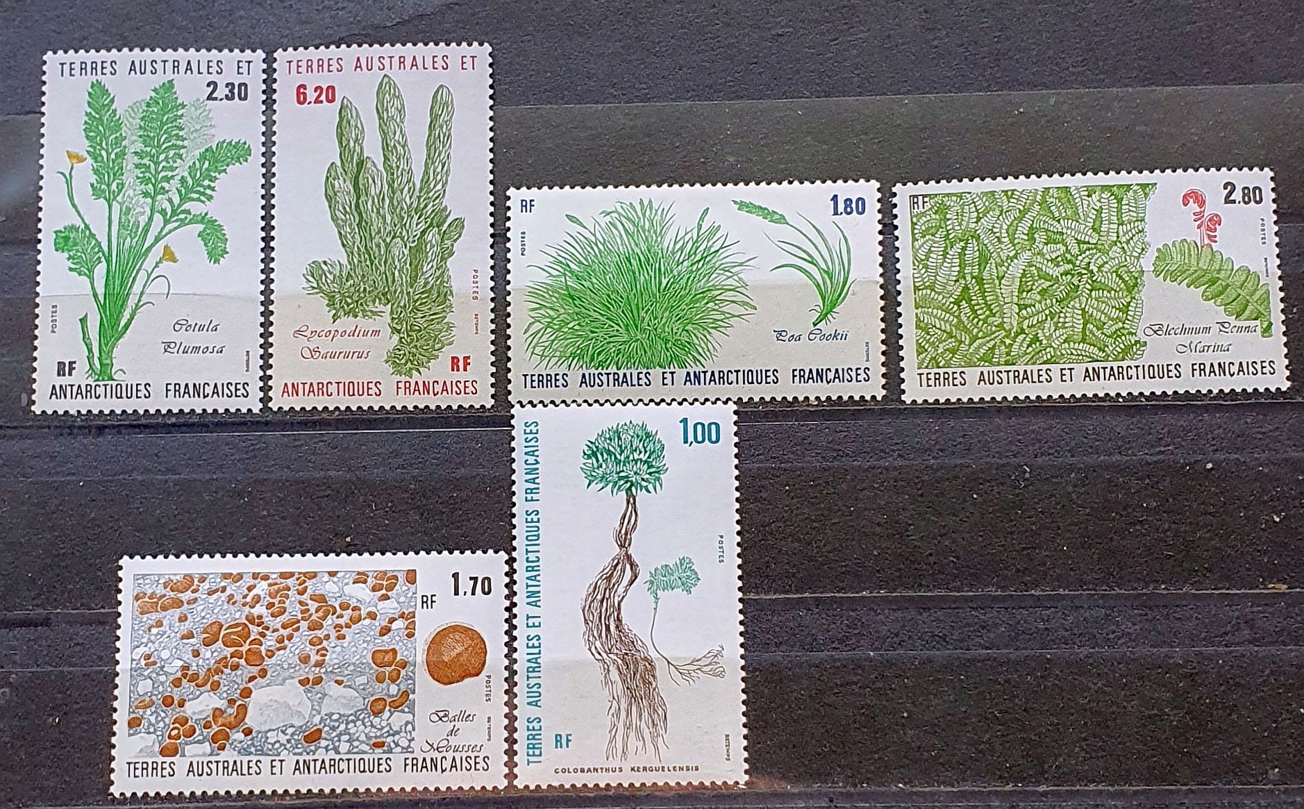 TAAF TEMAT ROŚLINY ** 1986/92