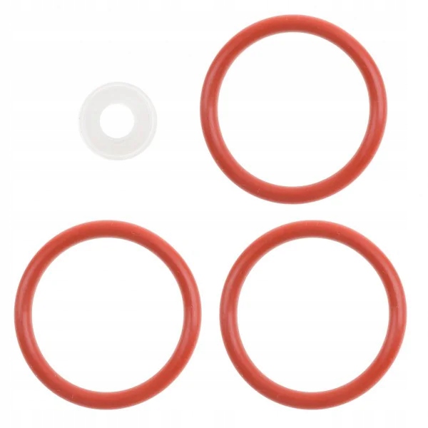 Delonghi Esam Ecam uszczelka zaparzacz