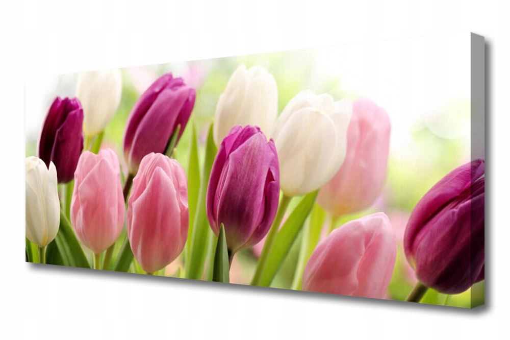 obraz na plátně Tulipány Květiny Louka 125x50
