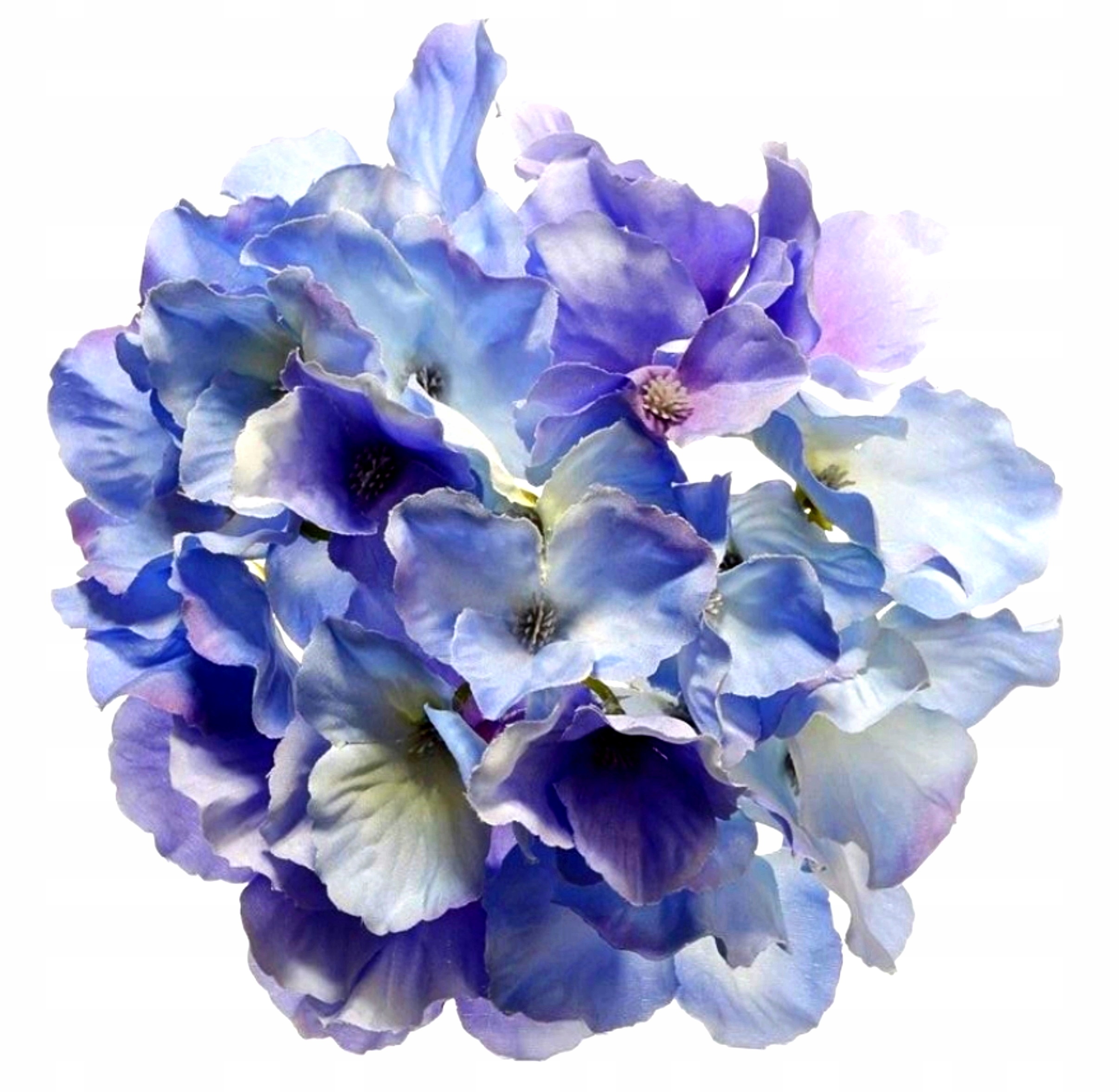 

Kwiat Hortensja Piękna Główka Premium 15cm