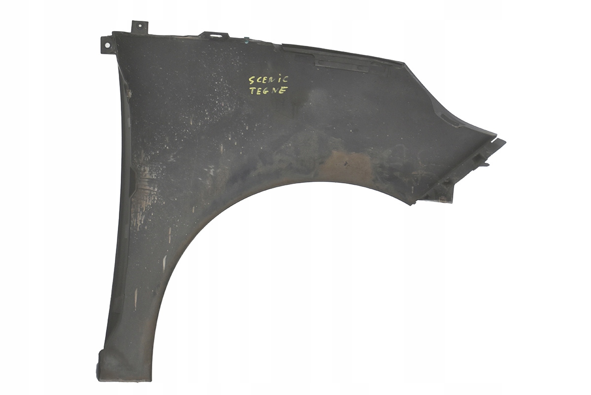 fender front front left RENAULT SCENIC III TEGNE