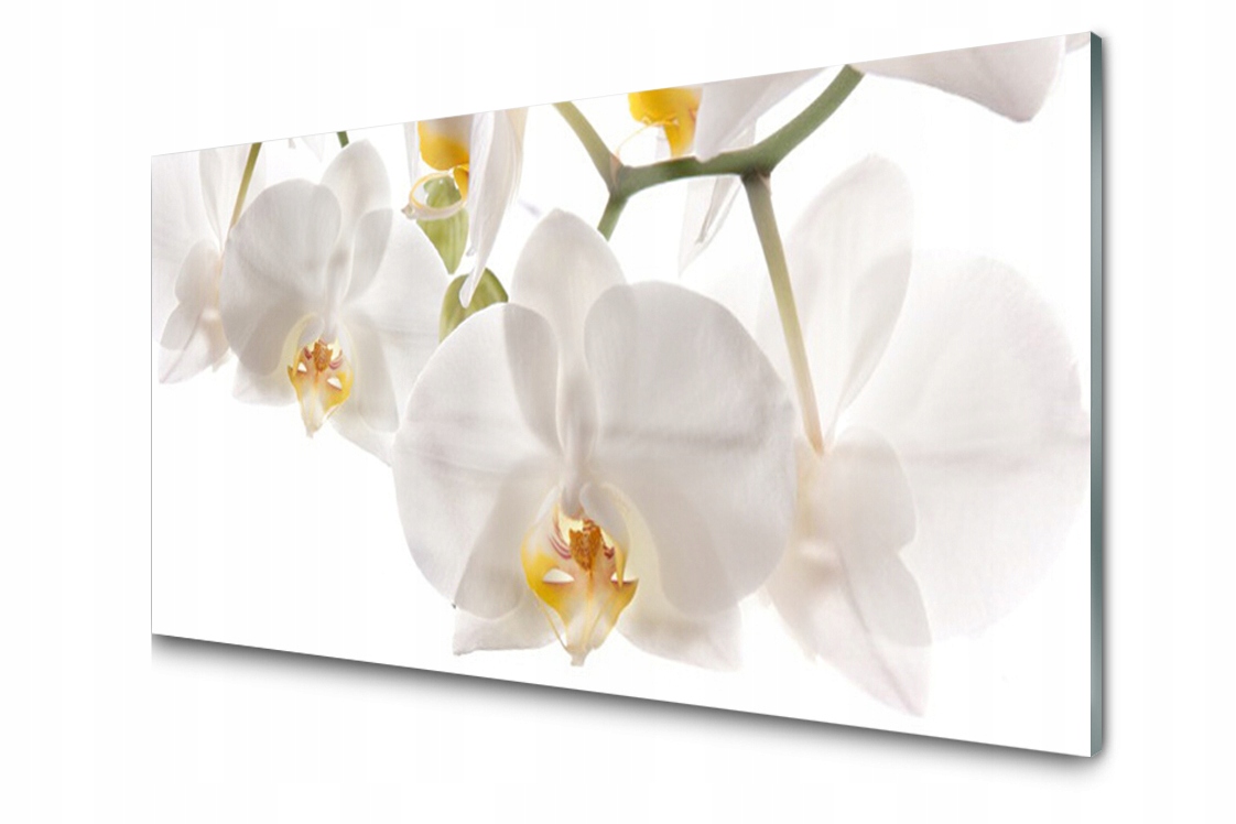 

Panel szklany Płytka Storczyk Kwiaty 140x70