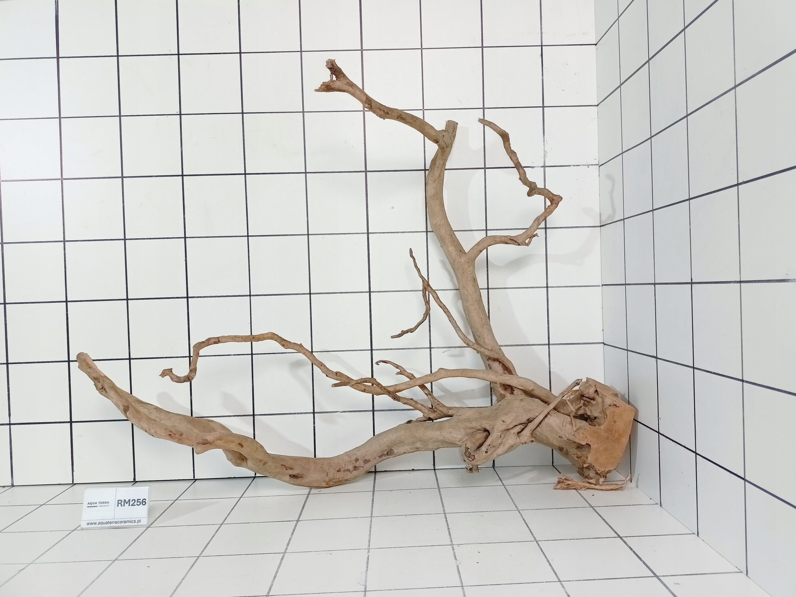 Korzeń Japoński Do Akwarium Terrarium Red Moor RM256 (to co na zdjęciu)
