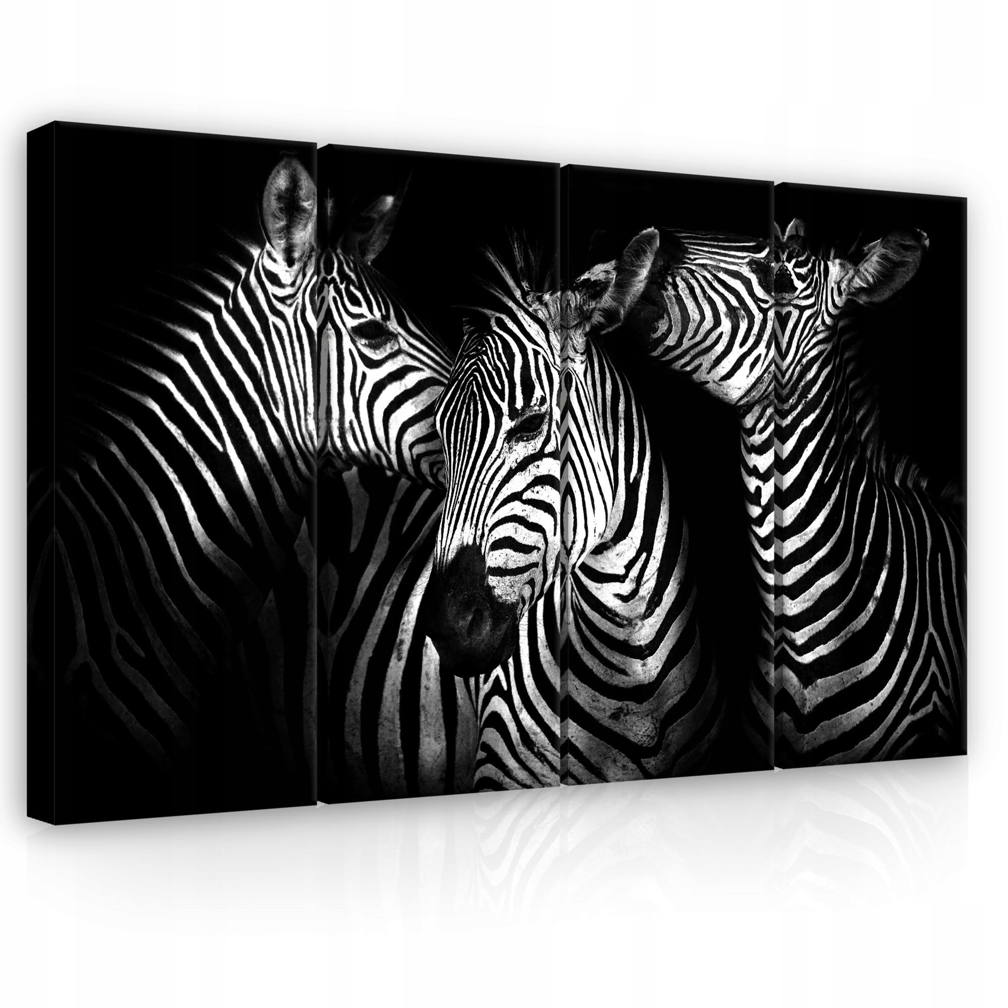 Obraz 120x80 Zebra čiernobiela Afrika pruhy grafika moderná elegancia