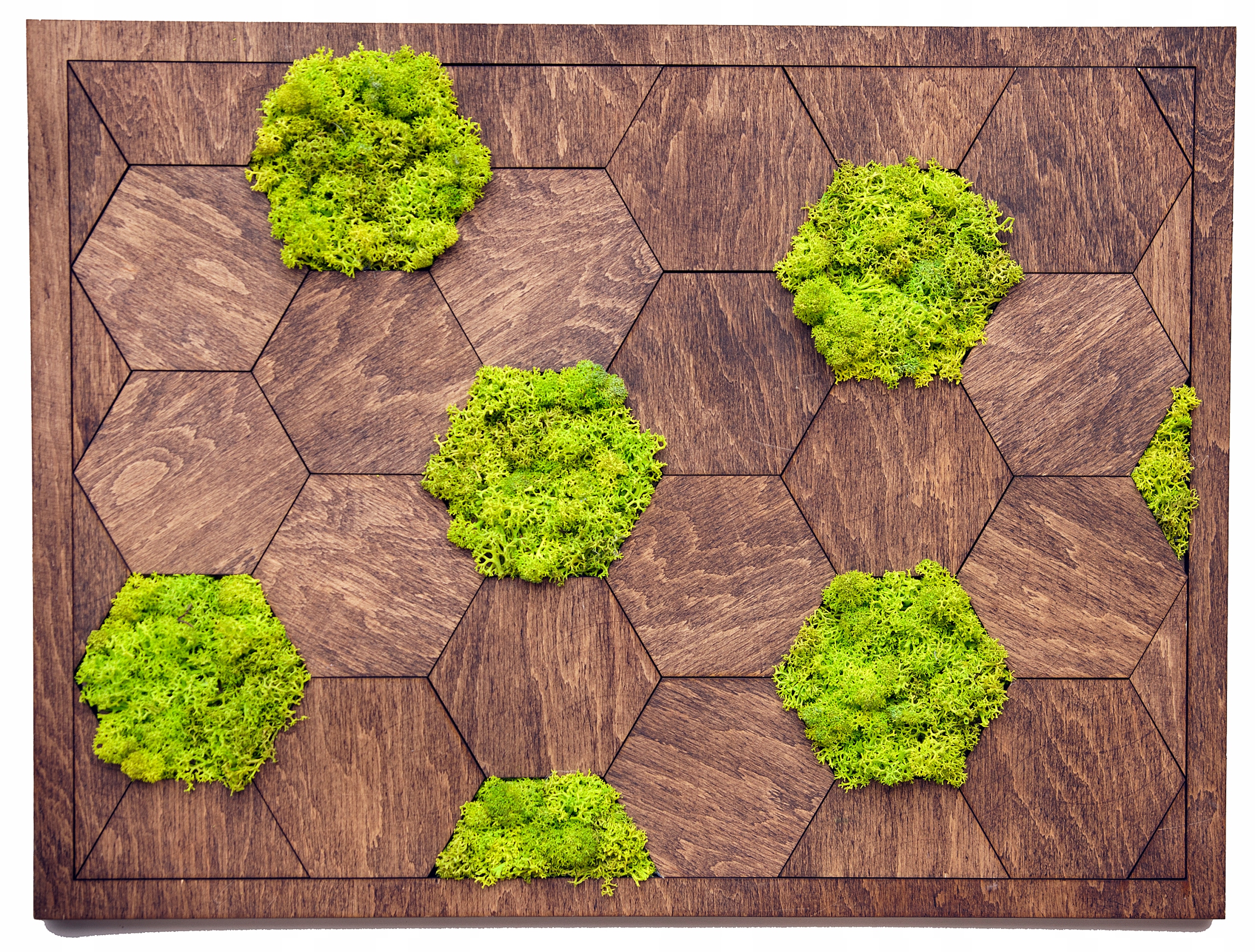 MECH CHROBOTEK PANELE OBRAZ PREMIUM 44x33 prezent Marka Deco-Lider