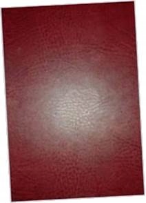 Zoologia - S Chudoba