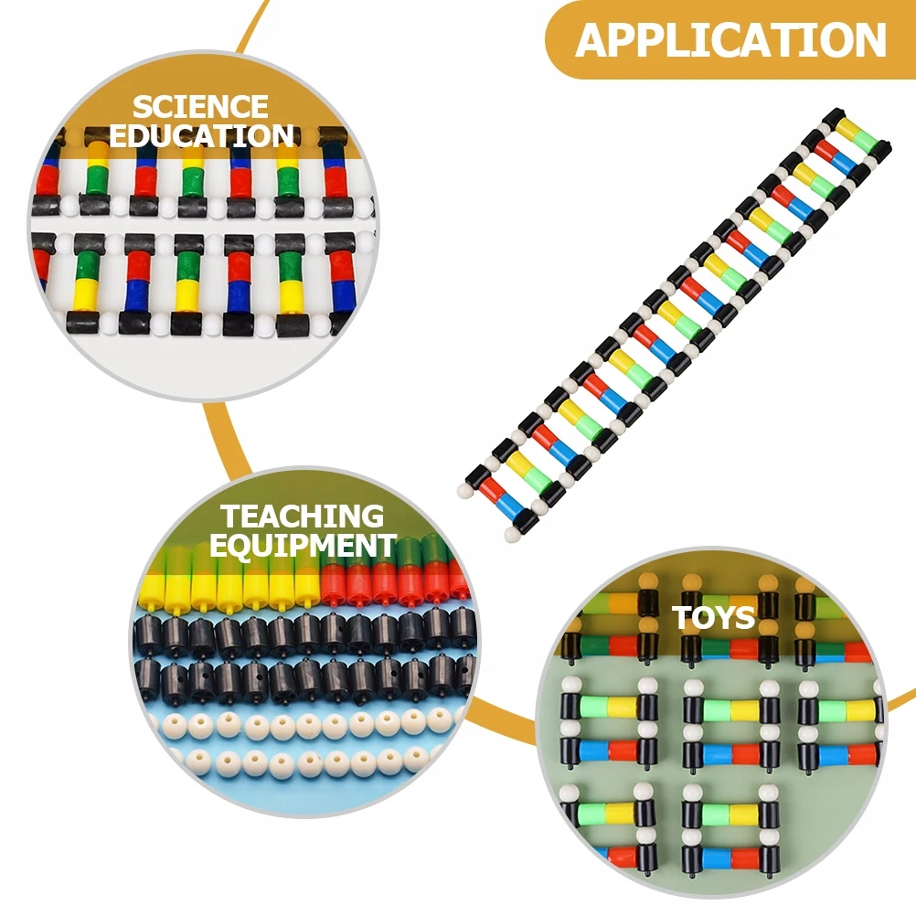 Pasuje do dzieci Double Helix DNA Model Strand Rodzaj kosz