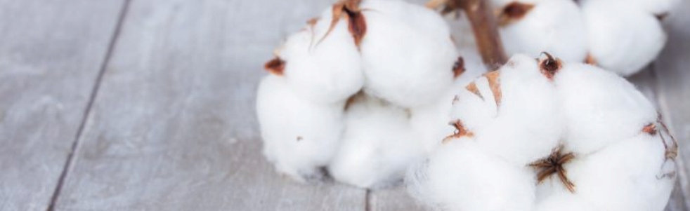 ZIAJA KASZMIR WZMACNIAJĄCA MASKA DO WŁOSÓW Marka Ziaja