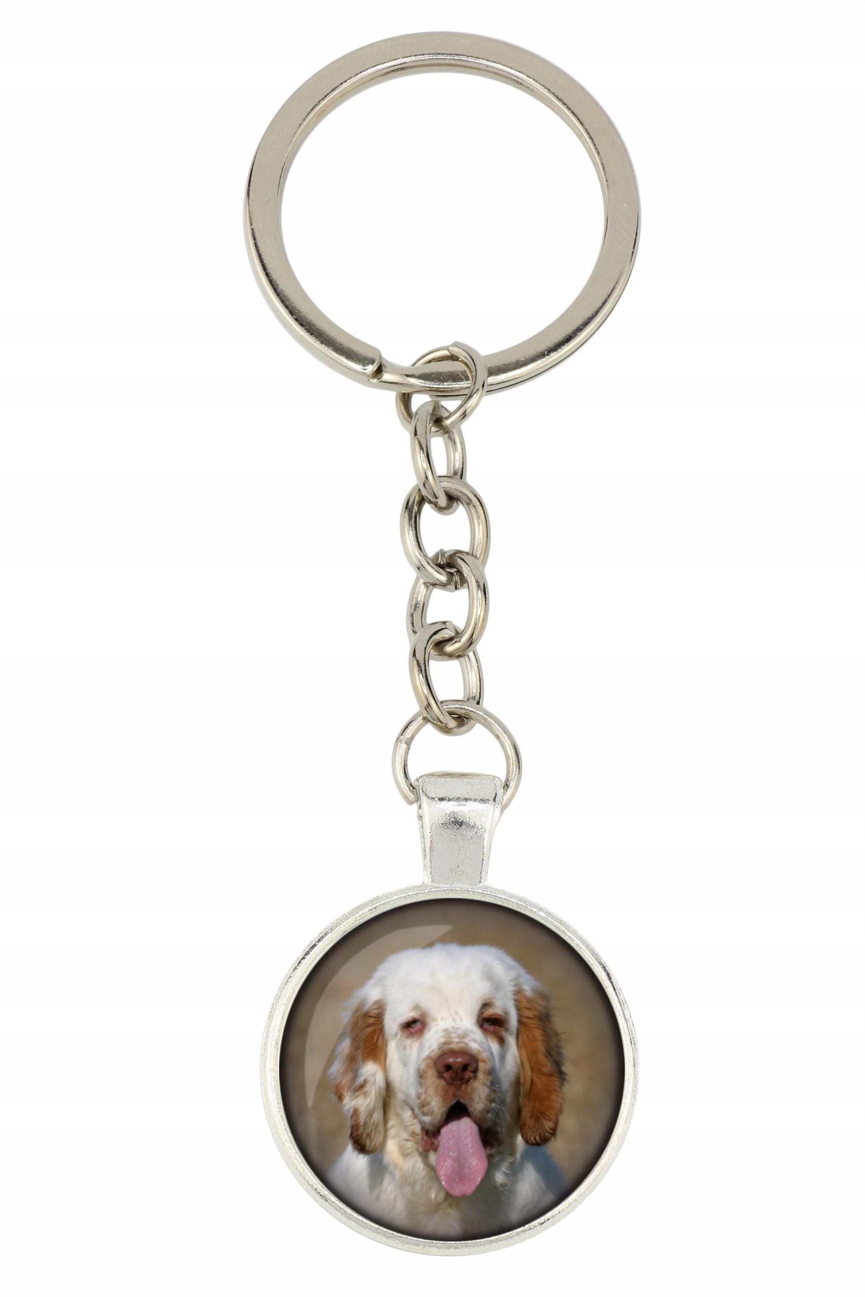 

Clumber Spaniel Brelok Twoje zdjęcie foto Handmade
