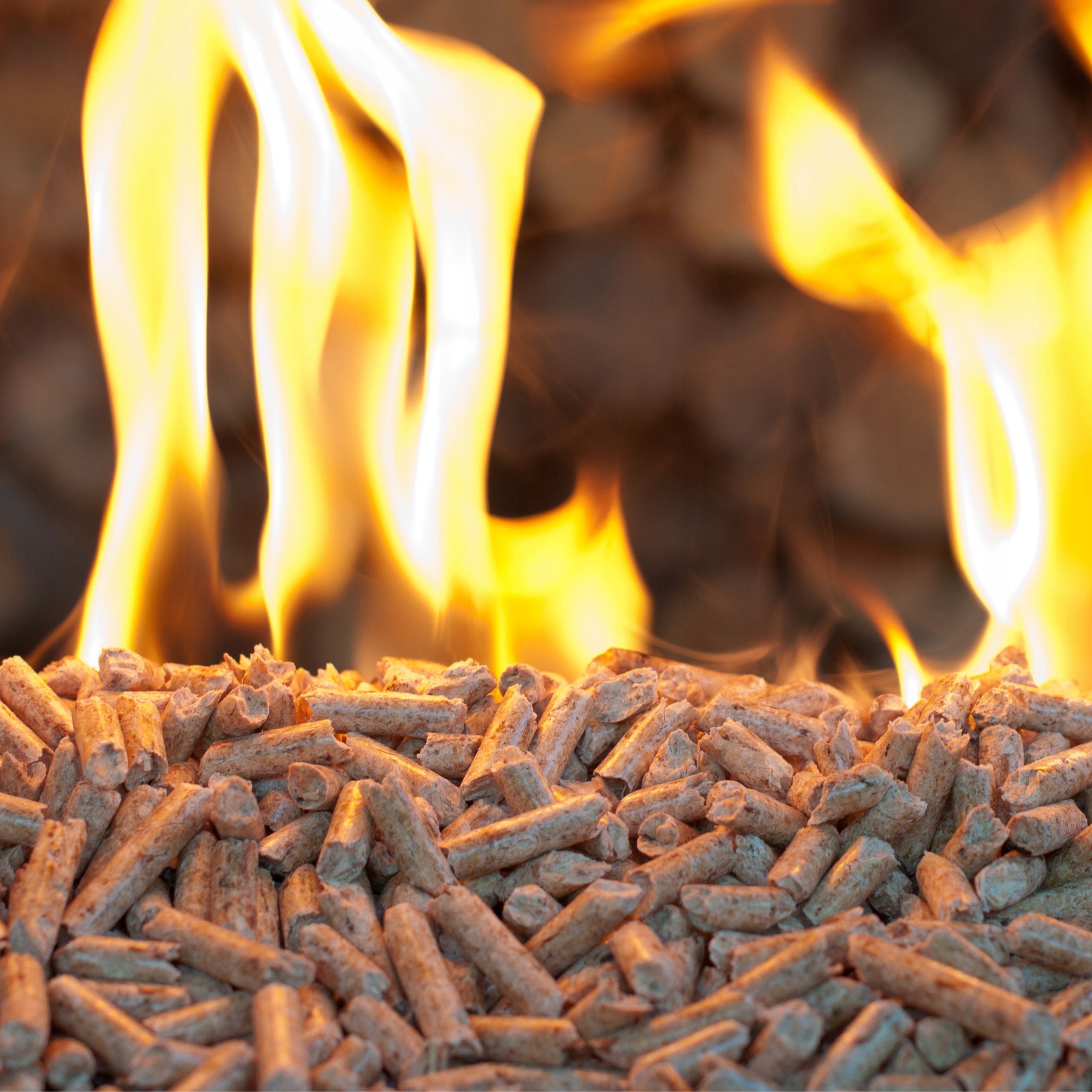 Pellet drzewny workowany SOSNOWO-DĘBOWY Premium wydajny kaloryczny 15 kg Marka inna