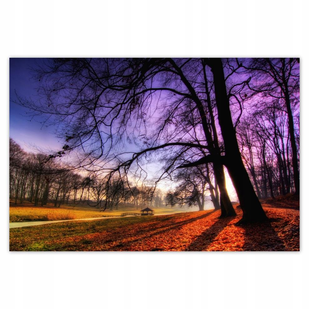 

Plakaty 60x40 Park w Wąsowie