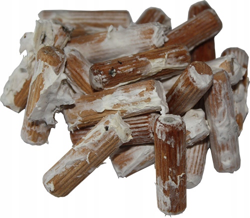 Chaga Podhoubí na kolíkech 100 ks – domácí pěstování blesku