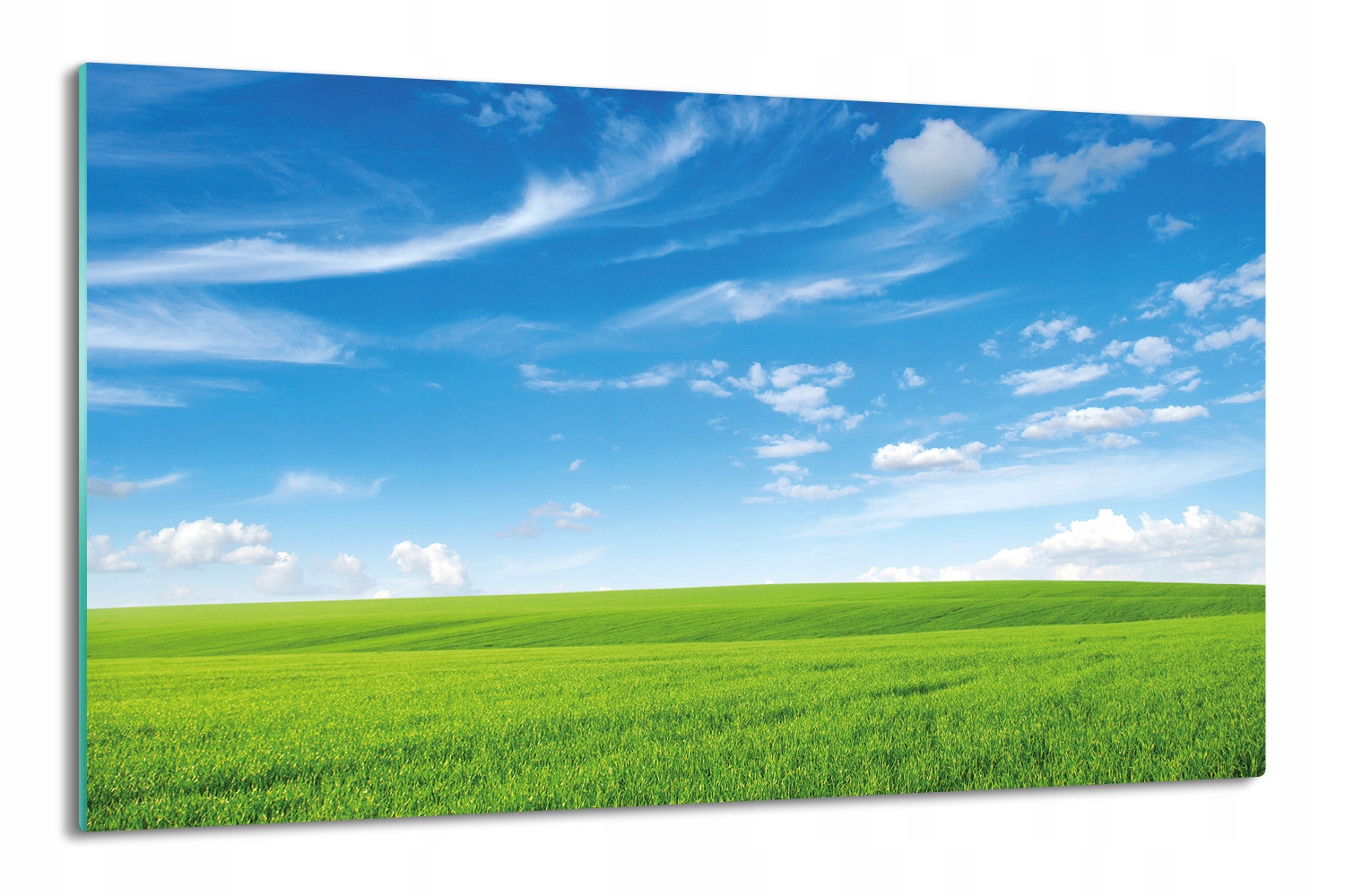deska splashback 80x52 ze skla Pole tráva mraky
