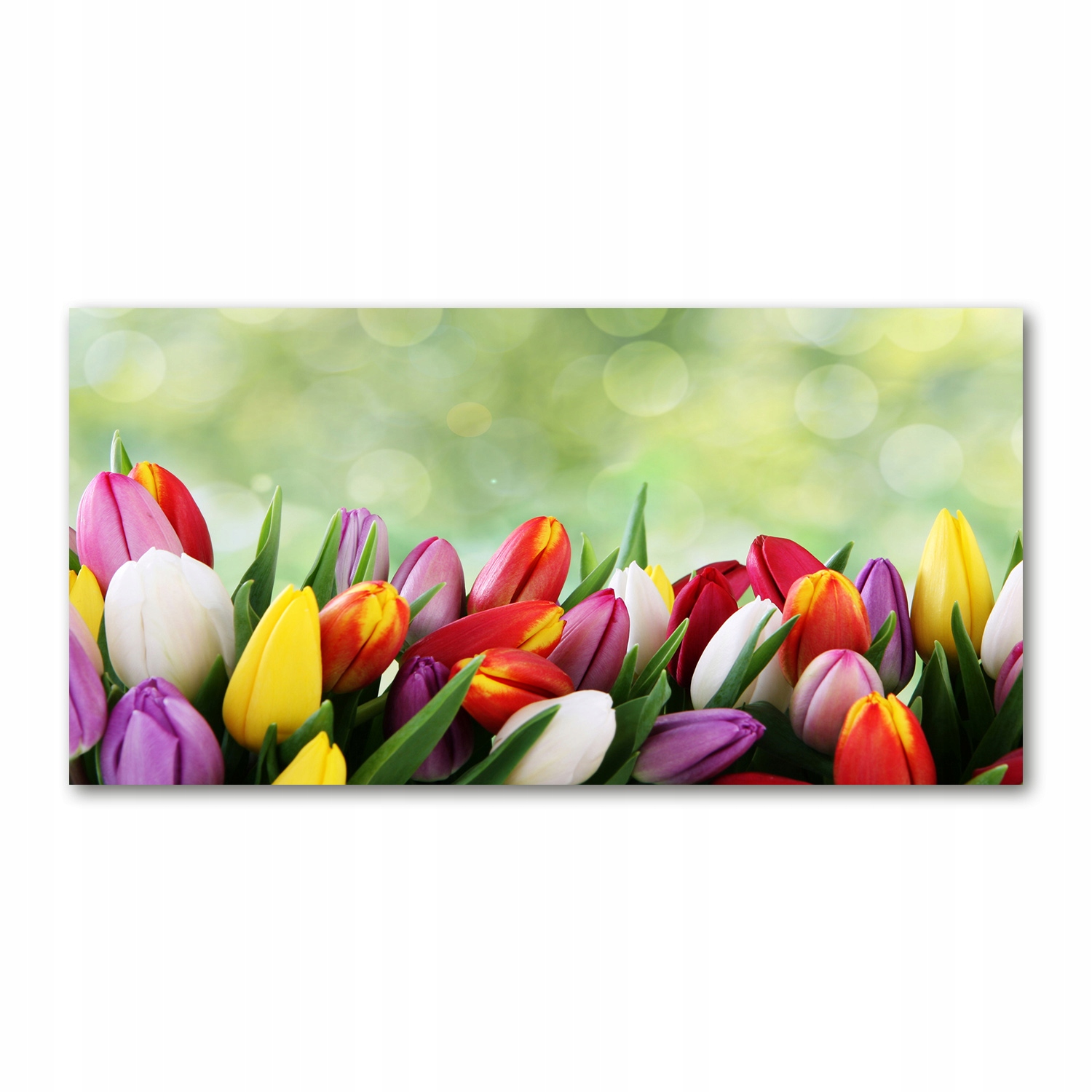 Skleněný fotoobraz Barevné tulipány 140x70