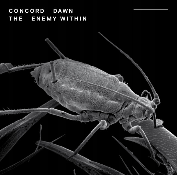 CD: Concord Dawn The Enemy Within Folia