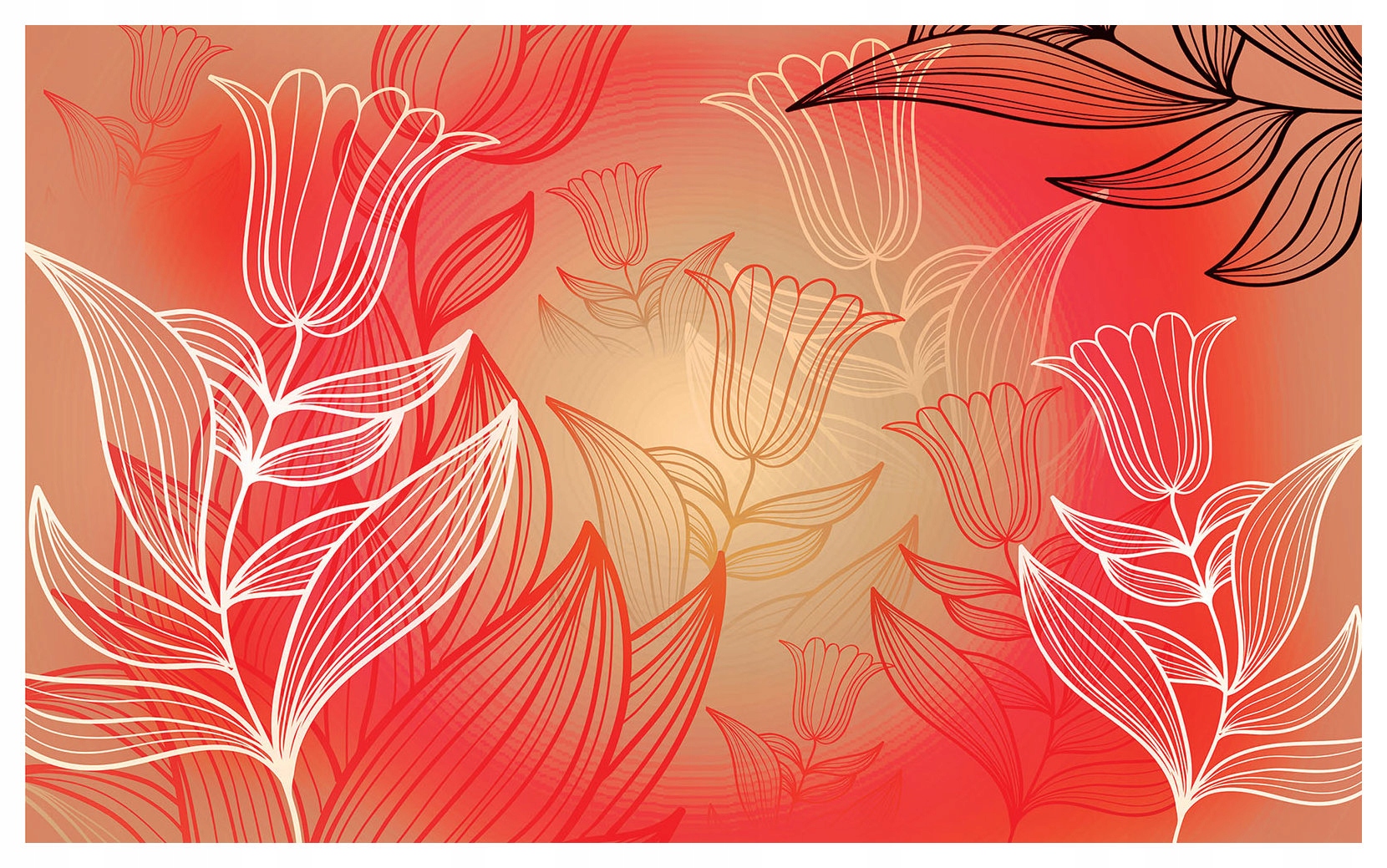 Fototapeta Elegantné Tulipány červeno-biele obrysy jar 312x219 lepidlo