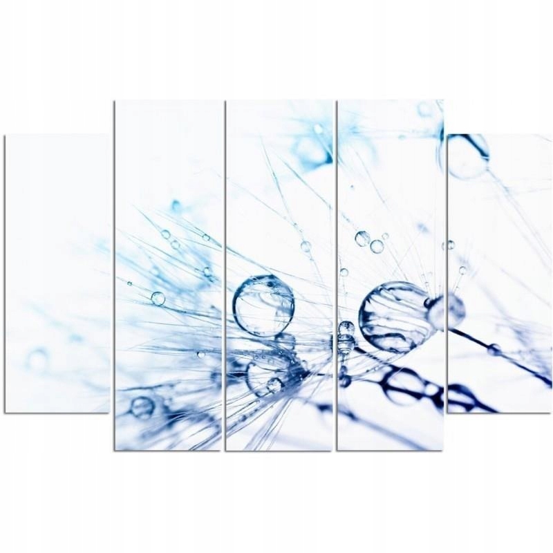 

Obraz Tryptyk Dmuchawiec Krople Do Biura 100x70