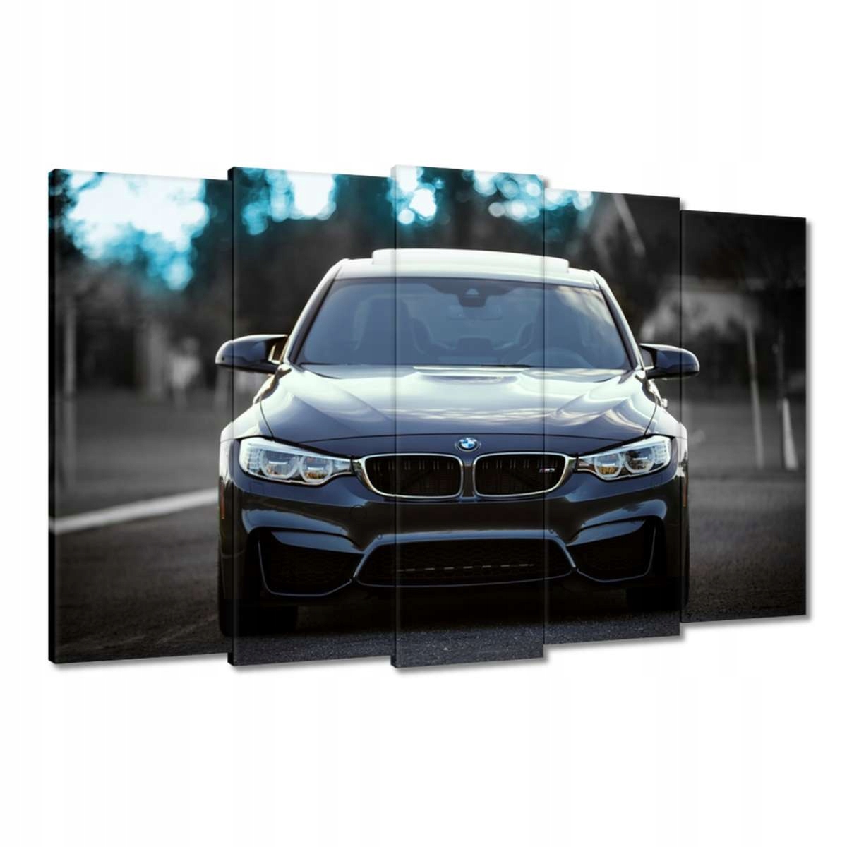 Obrazy 150x95 Bmw M3