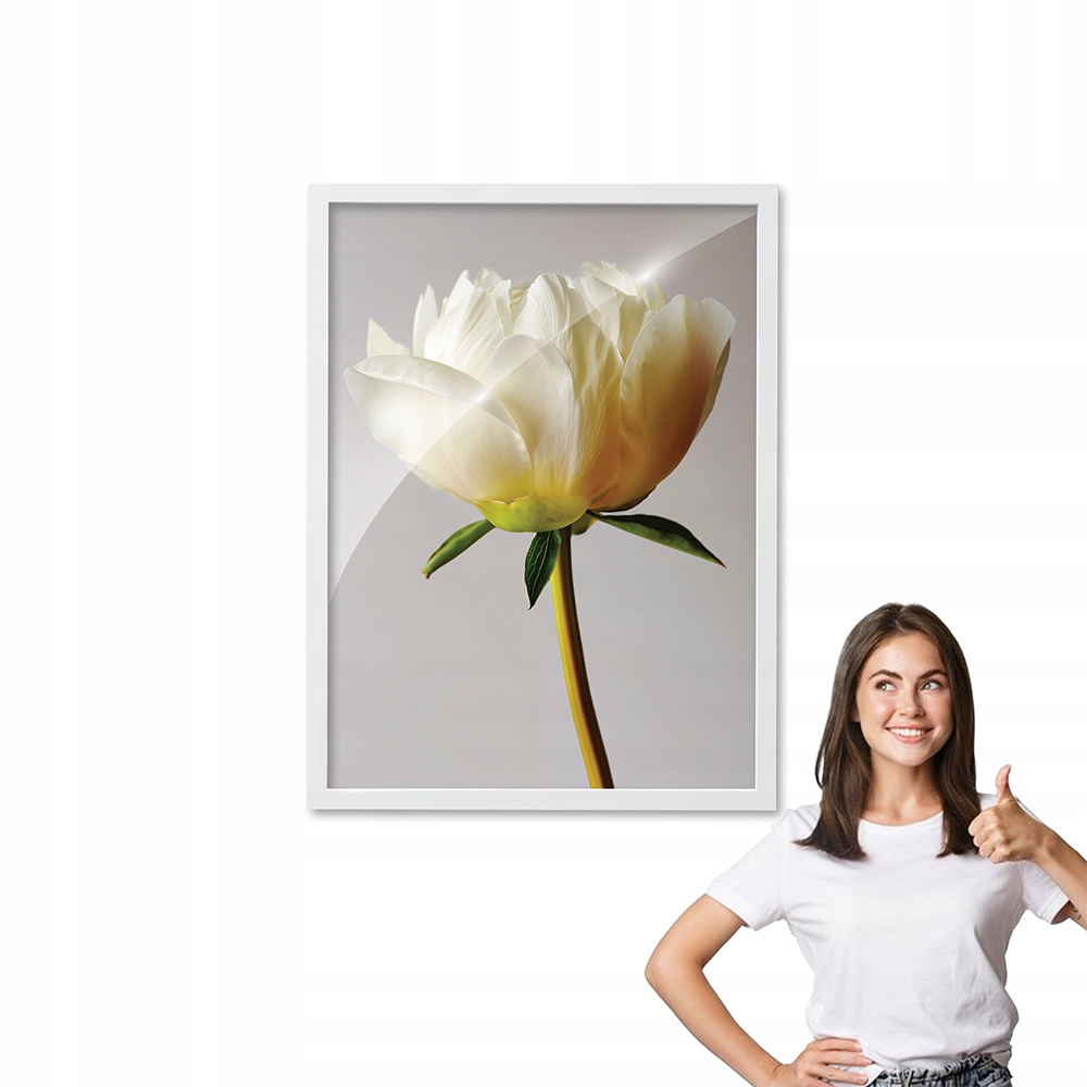 Obraz s rámečkem vzor Květ Pivoňky, bílý rámeček, 50x70, plexisklo, do obývacího pokoje