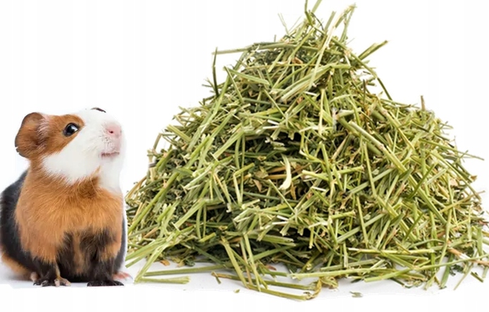 Levně Podestýlka seno od farmáře 12 kg seno pro malá morčata chovaná pro hospodářské účely