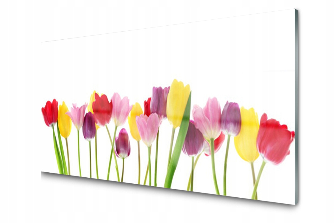 Dekoratívny sklenený panel Tulipány Kvety 100x50