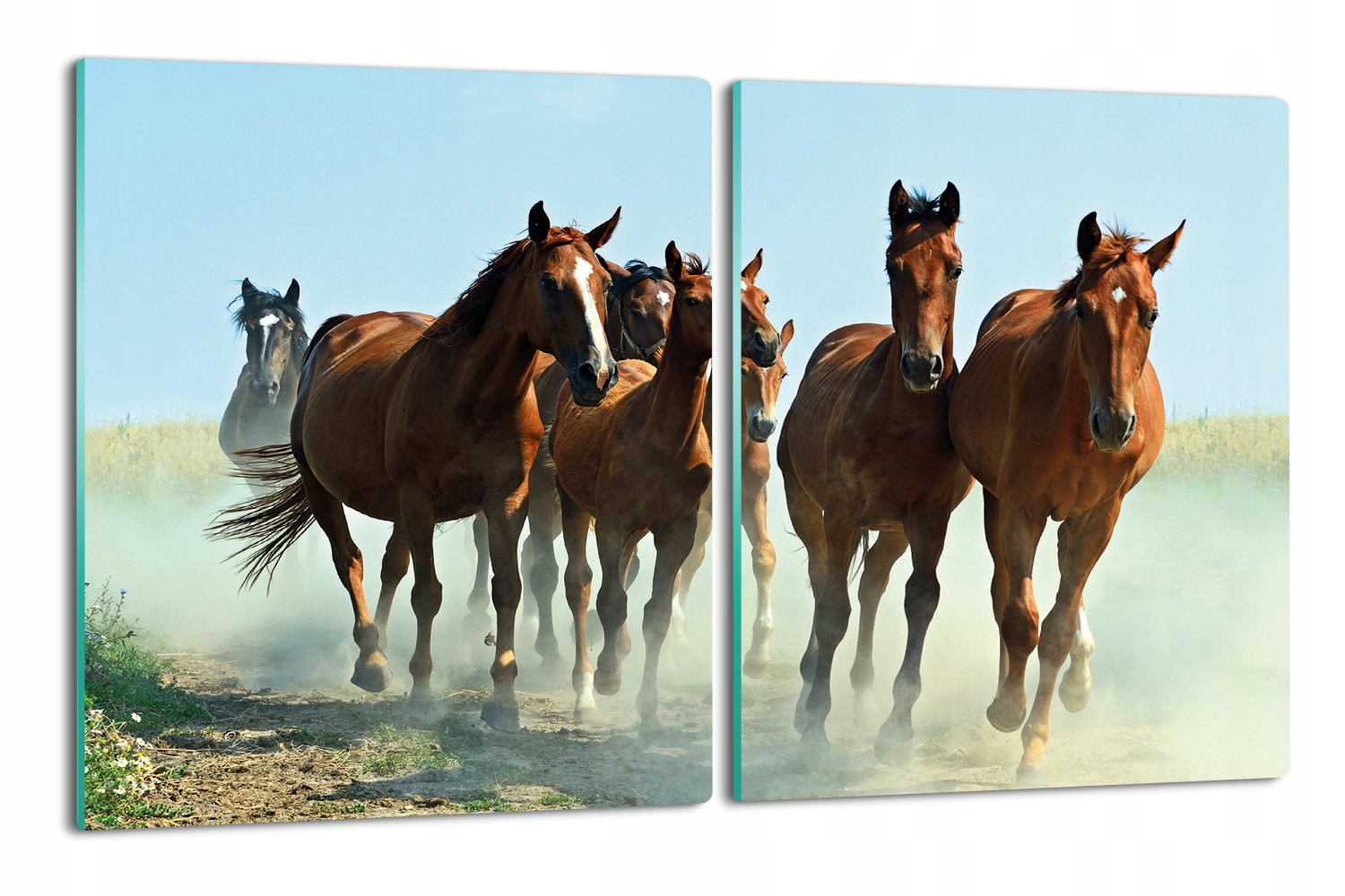Kryt splashback 2x 40x52 Běžící stádo koní