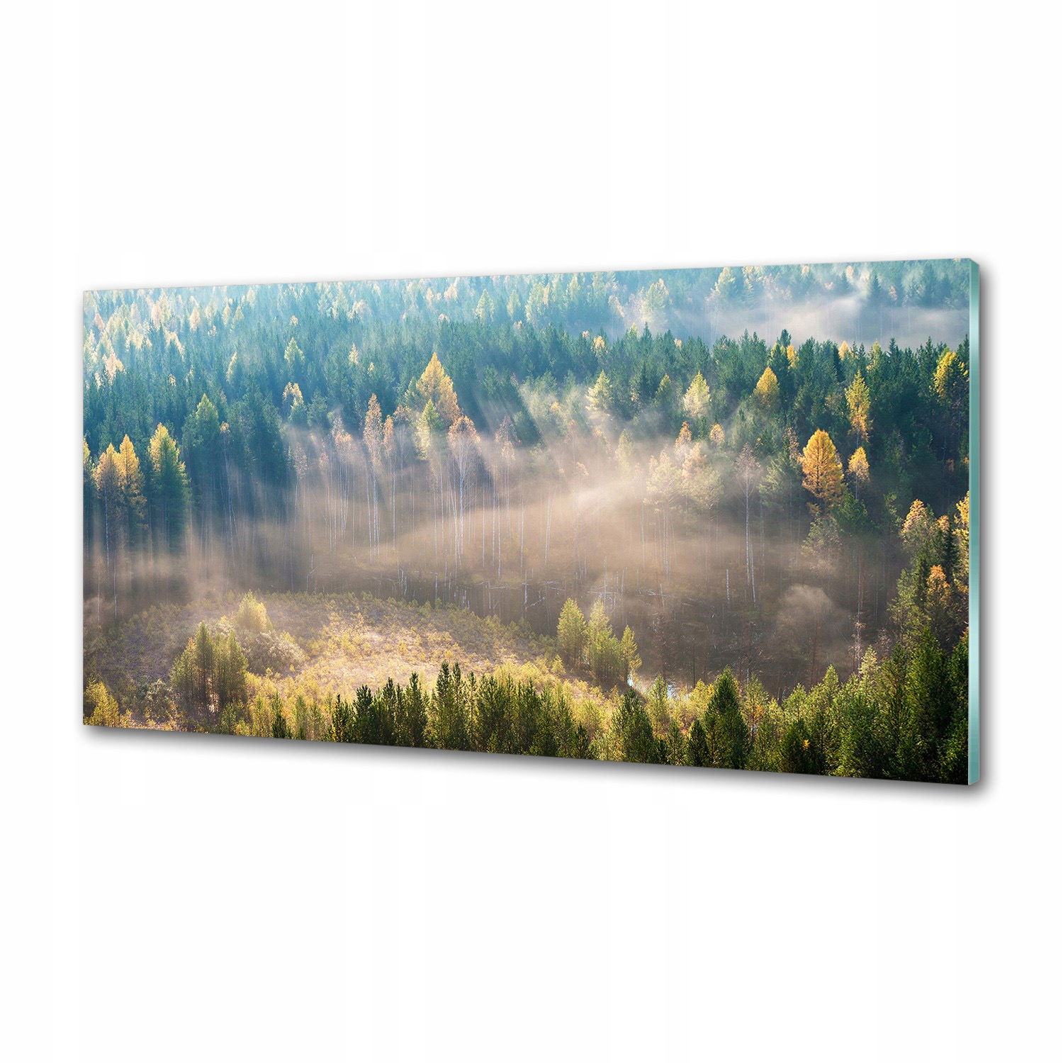 Panel dekor sklo Hmla v lese 120x60 cm Lepidlo