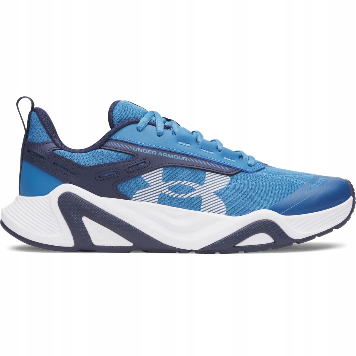 Męskie buty treningowe Under Armour Charged Commit Tr 5 Niebieski 44
