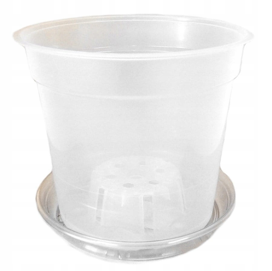 DONICZKA do uprawy STORCZYKA 17cm z podstawką