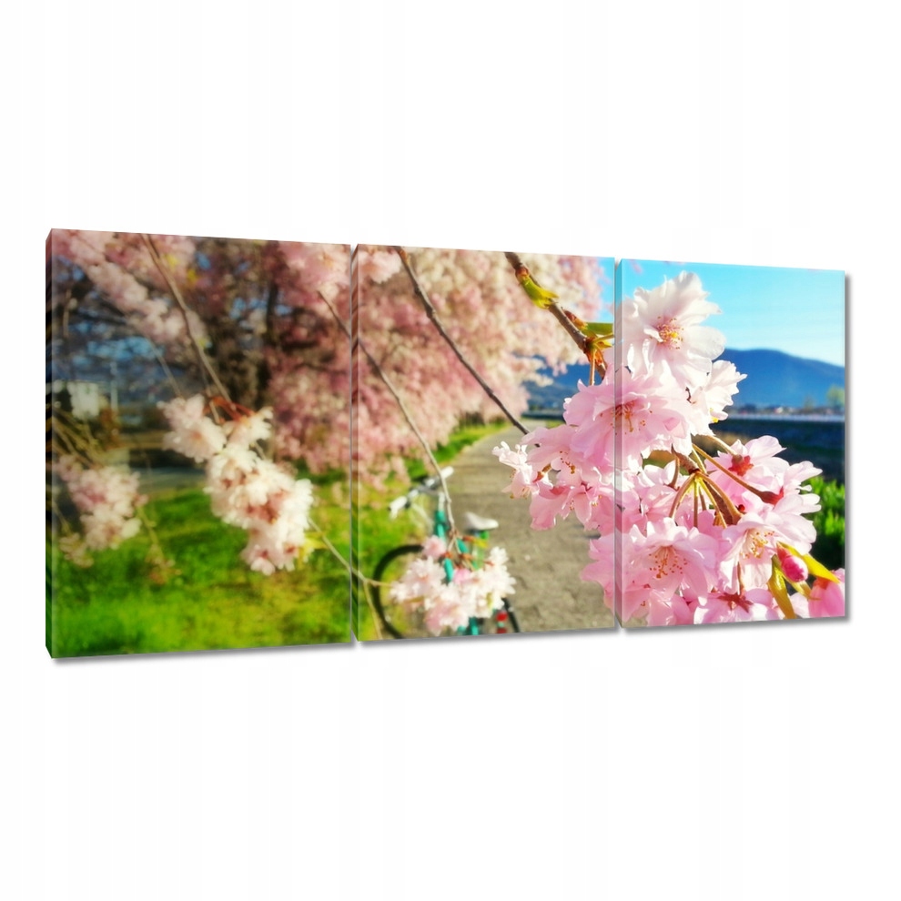 

Obrazy 120x60 Wycieczka rowerem