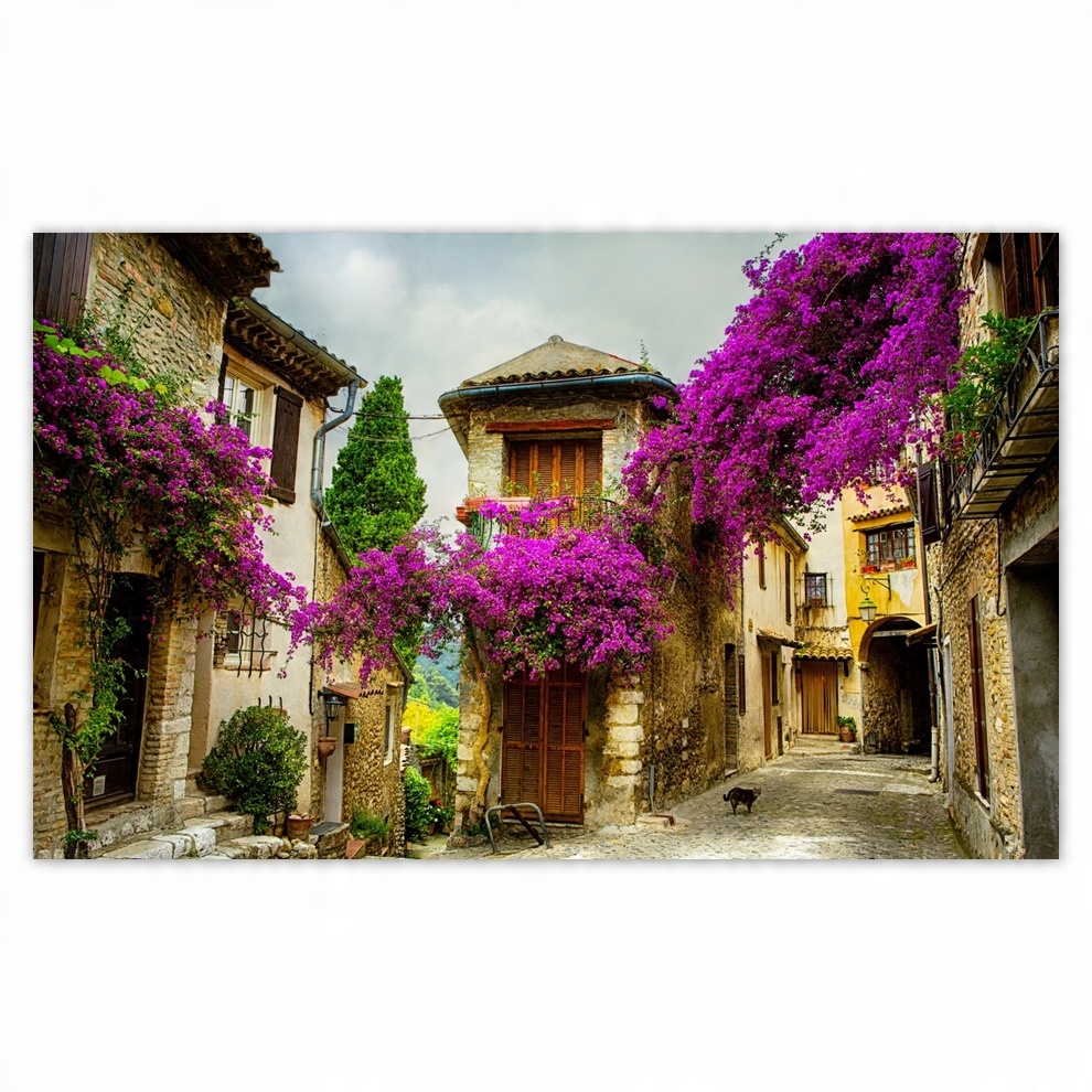 

Fototapety flizelina 520x318 Stare kamieniczki