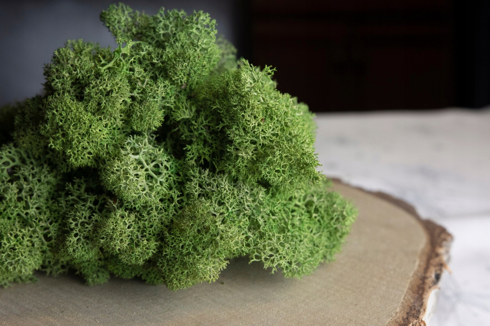 Mech chrobotek reniferowy SZARO-ZIELONY 100g Szerokość produktu 13 cm