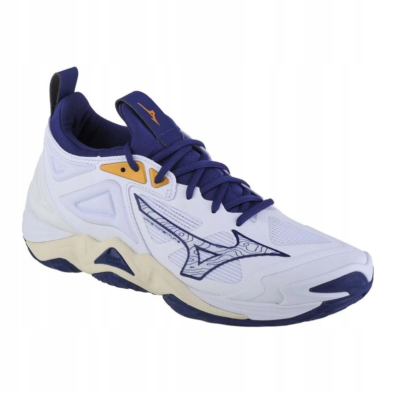 Buty Mizuno Wave Momentum 3 M V1GA231243