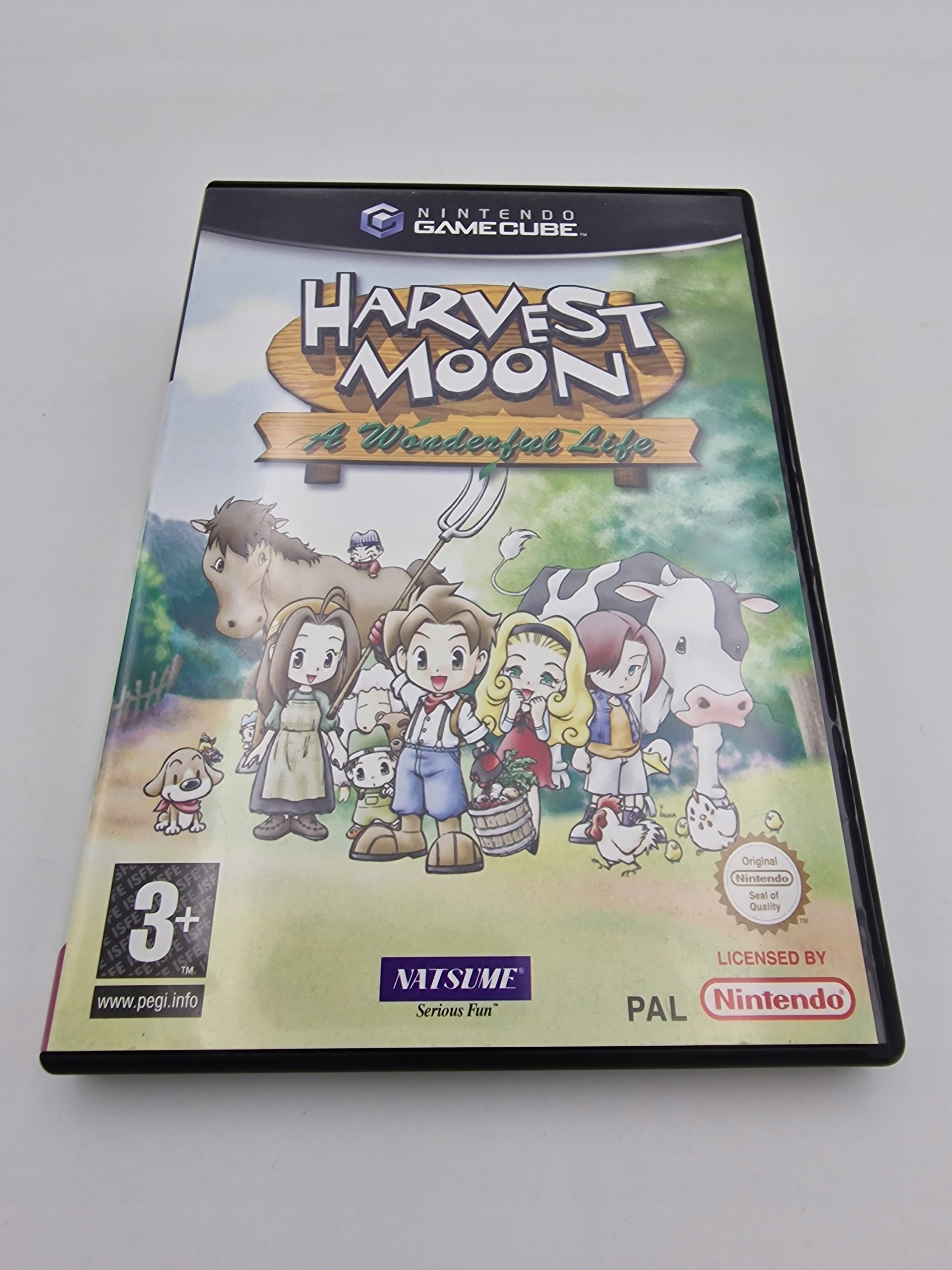 NINTENDO GAMECUBE HARVEST MOON A WONDERFUL LIFE Tematyka gry akcji